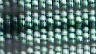 Sesh With Luna Black, Pantera Negra, Rony - Luna Blackx