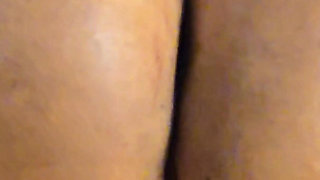 My Big Ass Vs Gym Pants
