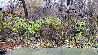 Every Stepmother Should Make Her Stepson's Dream Come True