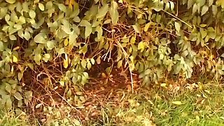 pick up, Doreen 18 convinced for a casting