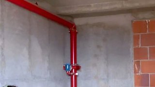 Shhh! Exhibitionist caught touching herself in public