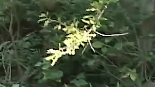 This Bitch Loves to Suck on Dicks and Swallow Cum