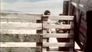 Classic Porn Dvds: Weekend Cowgirl: Part 1