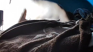 Puchis - Sexy MILF Jugoso Ruidoso Squirting