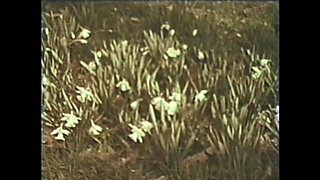 Without Mercy Hit Me Hard