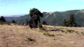 Hardcore vintage anal sex outdoors