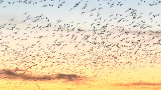 Road Trip Gone Wild Flashing and Fucking Everywhere!