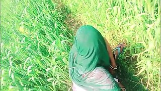 Desi Village Bhabhi Sexy Video in Wheat Fields – Hot Indian Aunty Fucking