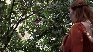 Mexicana blowjob with her big boobs
