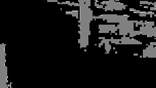 My Best Creampie Scenes in Ass and Pussy