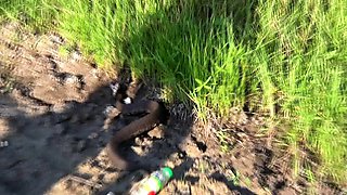 Hot amateur teen butt plug solo play