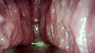 Deep Cum Inside A Pregnant Babe