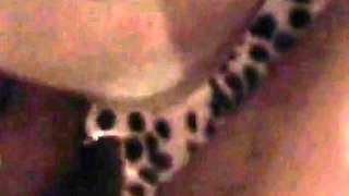 Hot Lucy's Amateur 69 and Hardcore Creampie