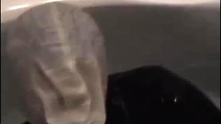 amateur luxury fetishes squirting on live webcam
