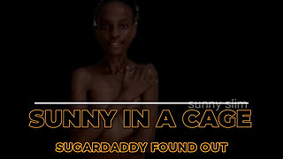 Sunny in a Cage