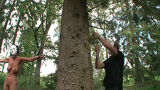 Absolute BDSM - Anal Destroyed and Deeply Inseminated