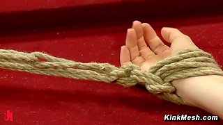 Lesbian Revenge Hump Punish Rich Brat