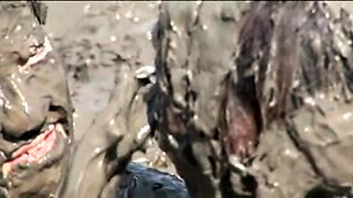 Real amateur couple outdoor ass fuck and anal creampie in hd