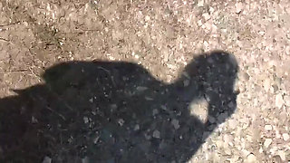 I'm Only Going for a Walk Today for One Reason