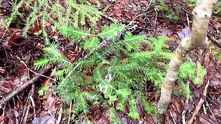 Pussy Pissing Water on the Rock