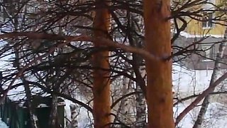 Winter Window
