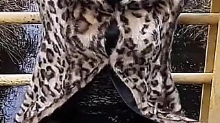 Wanilianna in Layered Nylons Is Performing a Golden Shower Show in a Public Place