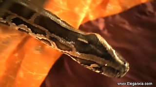 Enticing Erotic Dancer From India