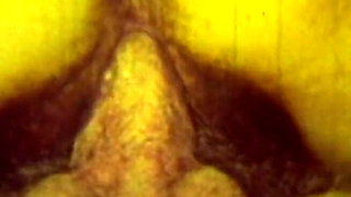 Retro Green-tinted Vintage Classic with Hairy Brunette Orgy