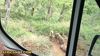 Horny Ebony Girlfriend Deep Throats Big White Cock On a Safari Trip