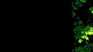 Asians Japanese Milfs Getting Hardcore Fu