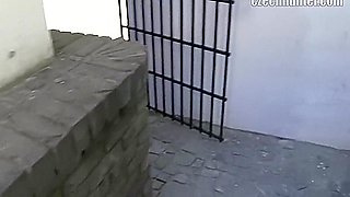 A Watchers Game Of Chance