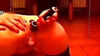 Training of the submissive chicks