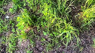 Guy Spots Peeing Girl and Has Hardcore Public Sex with Her