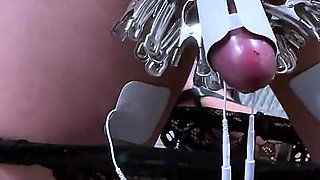 CBT & Electro on Sissy