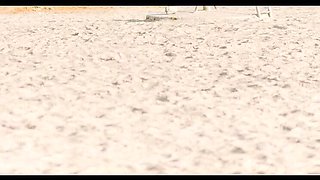 Hot Beach Voyeur Public Sex with Adamandeve - Big Natural Tits Outdoor Handjob & Footjob