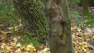 The Slave Bastards Destroyed in The Forest