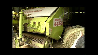 The Old Joyful Women (films)