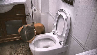 Convenient Toilet Cleaner
