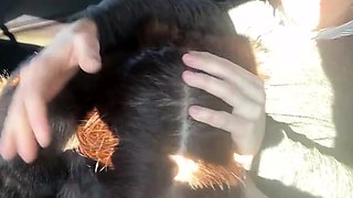 Fur-coated stepmom gives stepson a blowjob in the car