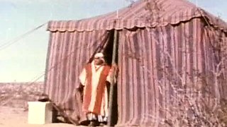 Spicy brunette amateur drilled hardcore on camera