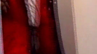 My Private Video Vol.2