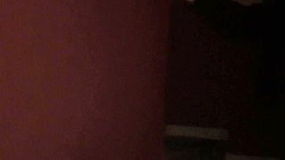 A Flashing with Anal Plug Lush Collar and Sexy Clothes