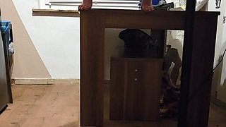 I Piss Where I Want (long Version)