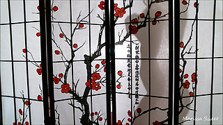 Silhouette Tease / Ball Domination