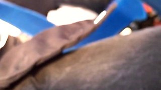 Amateur public sex during a picnic