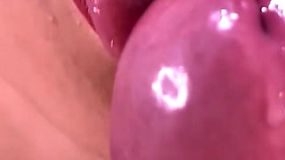 Delicious Kitty Blowjob