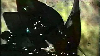 Huge Japan blowjob and handjob POV orgy with a cumshot