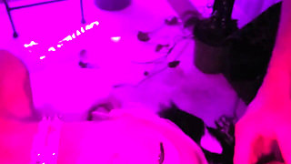 Pretty Party Smokey Kitty