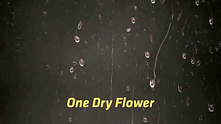 VIPissy - facial porn