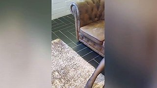 Czech amateur blowjob and fucking POV in public